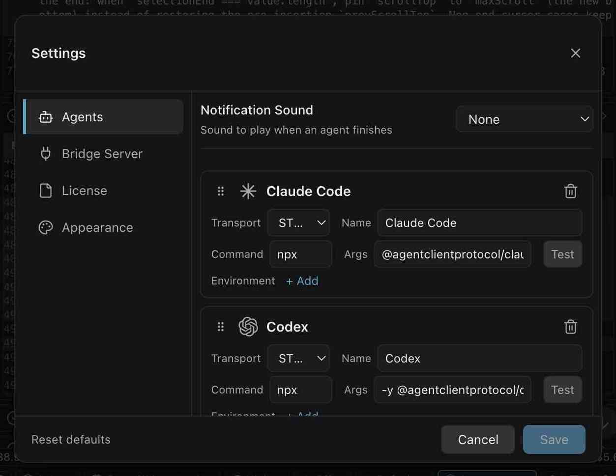 ACP Pro agent settings with editable transport, command, arguments, and environment controls